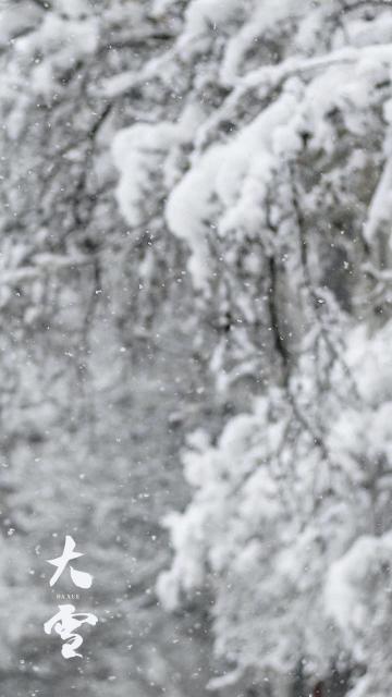 24时节大雪优美雪景