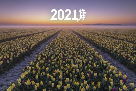 2021你好清新的郁金香花园