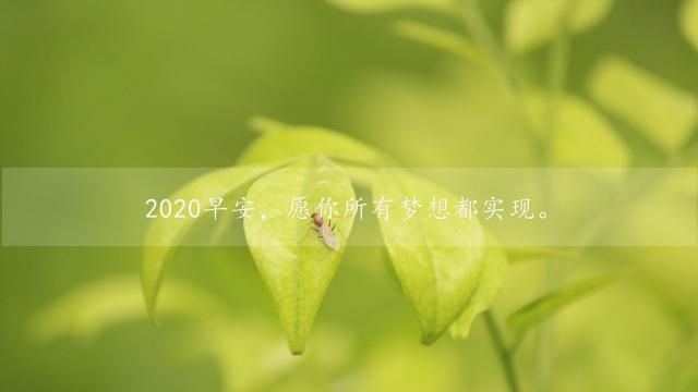 早上好新版2020唯美励志暖心简约图片