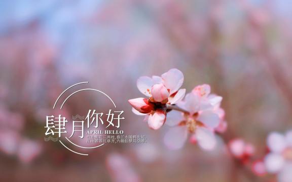 四月你好,桃花三两枝