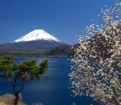 富士山的雪