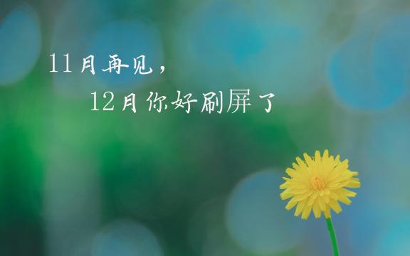 11月再见,12月你好刷屏了