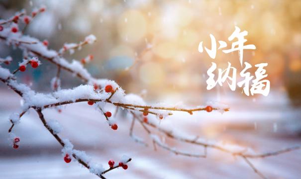 白雪红梅小年纳福