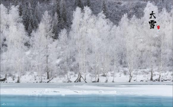 二十四节气大雪树林雪景秀丽风光