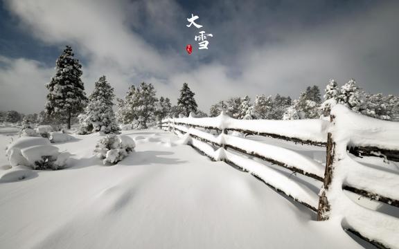 冬季大雪时节迷人风光