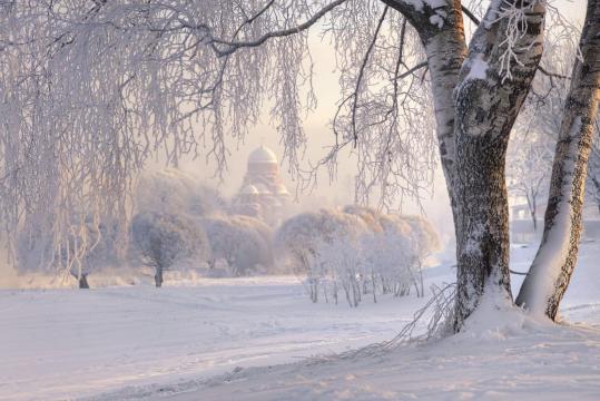 唯美的雪后风光