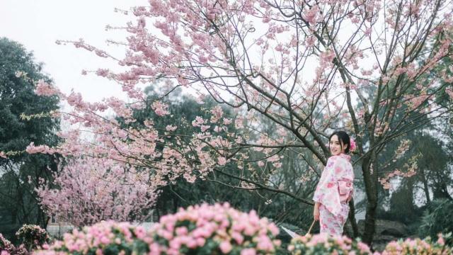 花花世界下唯美气质女孩单纯写真