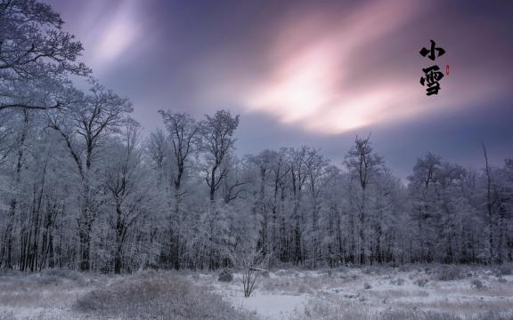 二十四节气之小雪森林优美景色