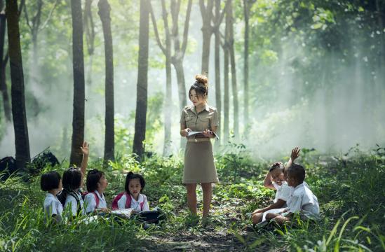 一群孩子在野外学习