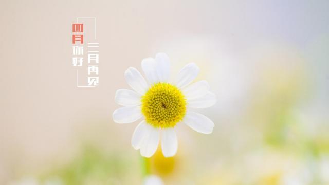 三月再见,春暖花开时