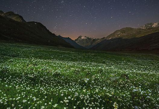 高山绿洲