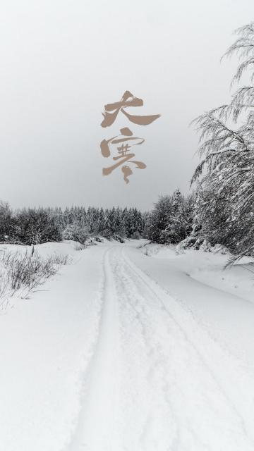 大寒时节唯美迷人的雪景