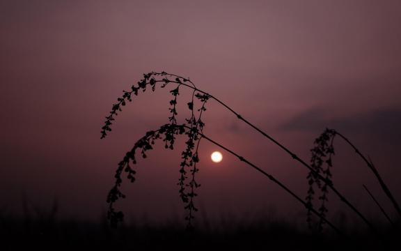 黄昏的日落风景