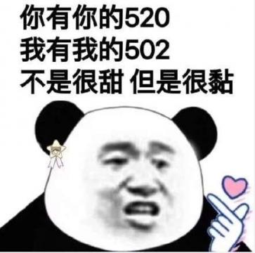 你有你的520 我有我的502