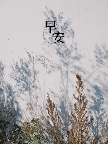 早安文艺ins风植物配图