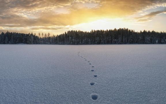 治愈的冬天户外雪景