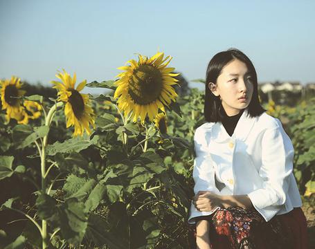 周冬雨向日葵地里写真