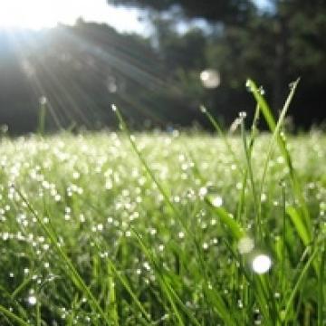 感受阳光和雨露