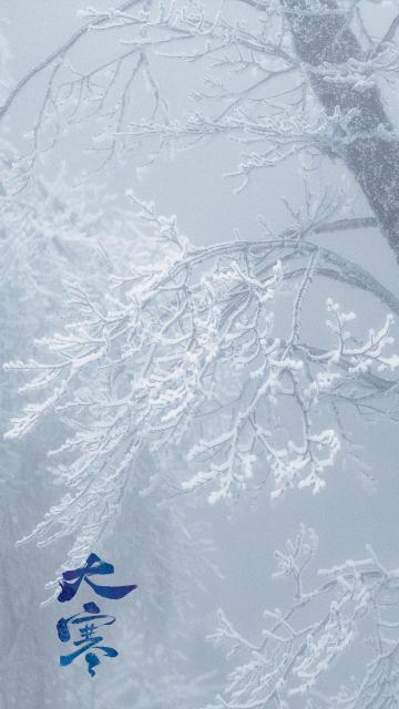 大寒时节唯美冬天雪景风