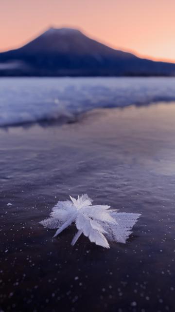 湖面上的冰雪花