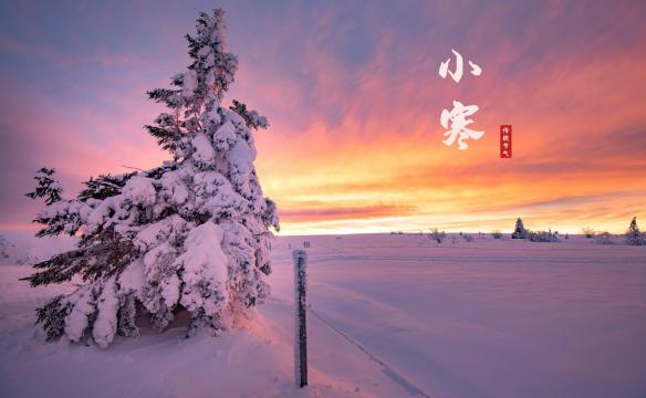 传统节气小寒雪景风光