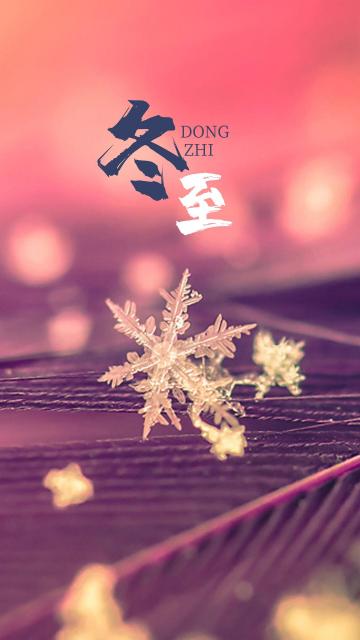 冬至时节晶莹剔透的雪花