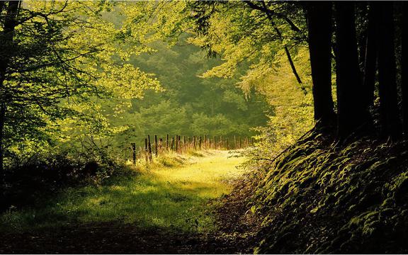 弯路风景