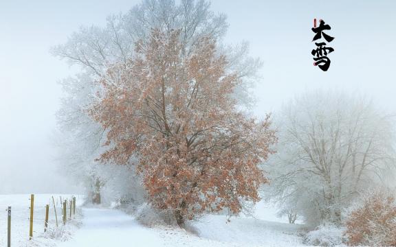 二十四节气大雪之雪景风光