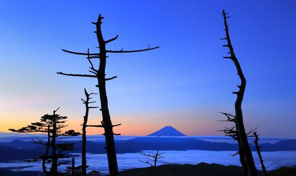 树框中的富士山