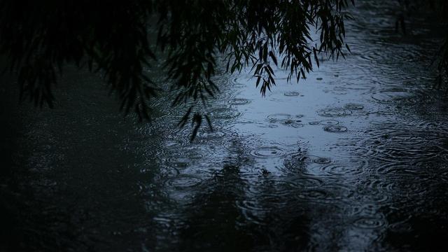 QQ空间唯美雨景图