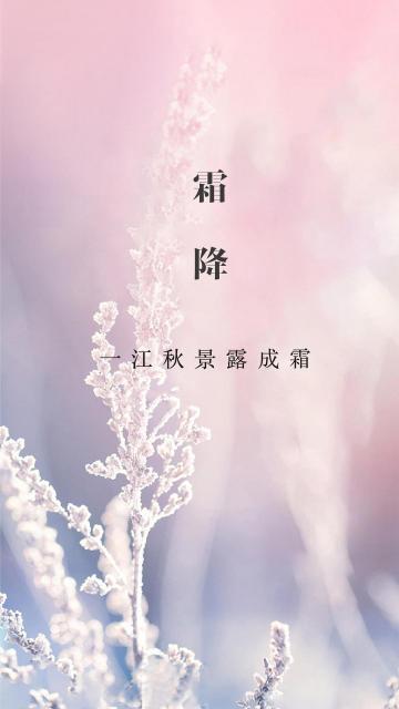 小清新唯美24时节霜降