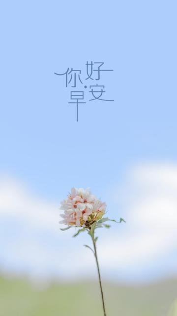 早上好唯美养眼樱花