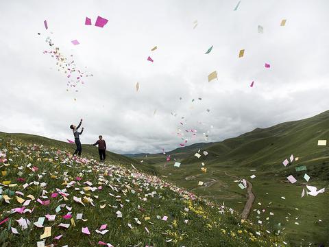 风中祈愿