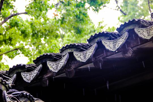 雨后园林