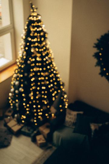 精美漂亮的圣诞树