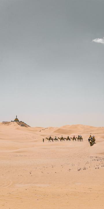沙漠和骆驼